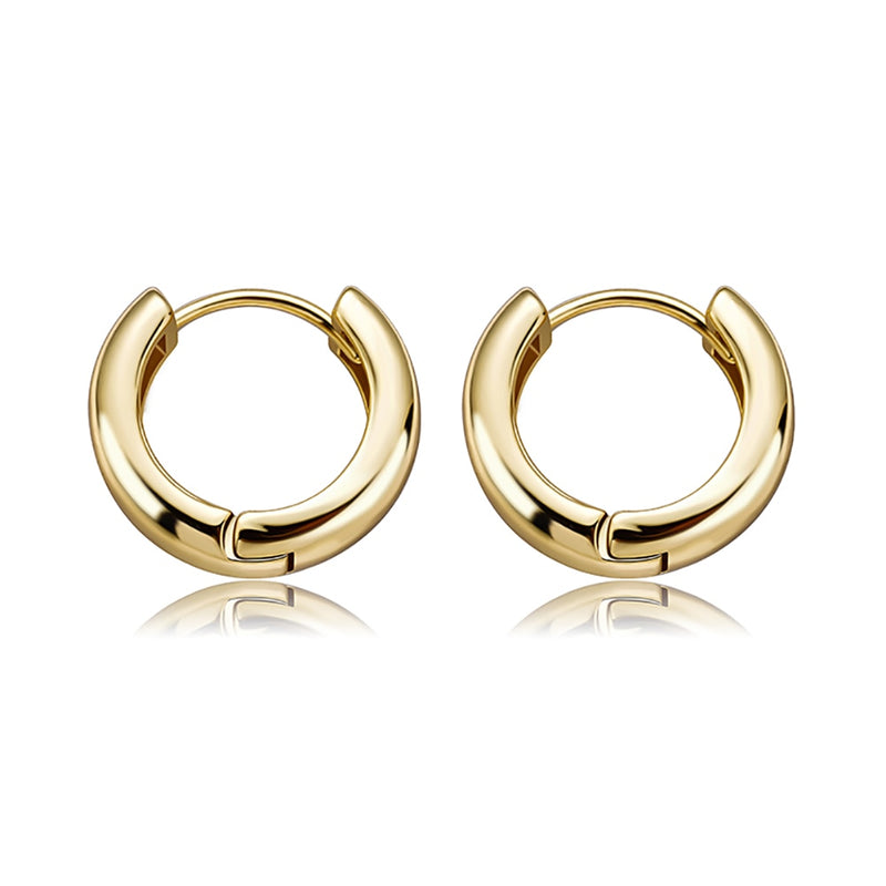 Micro Stainless Hoop Earrings - Gold